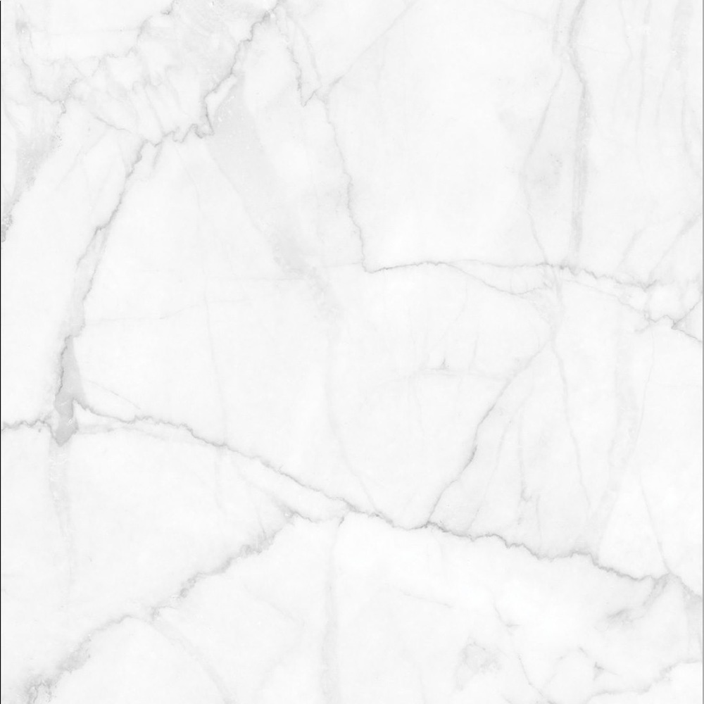 Meet your Posher, Rex